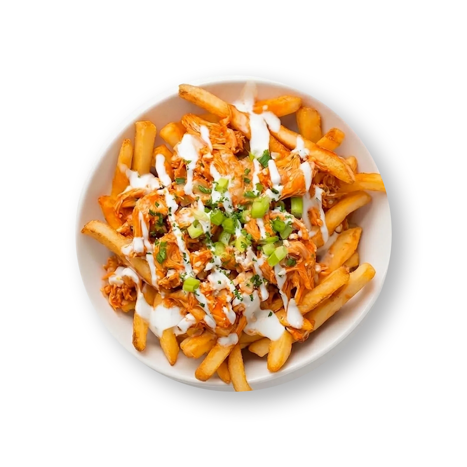 Loaded Fries
